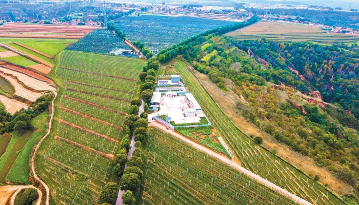 乘風(fēng)破浪會(huì)有時(shí) 策馬揚(yáng)鞭再奮蹄——甘肅建投生態(tài)公司拓市場、強(qiáng)管理、謀發(fā)展紀(jì)實(shí)