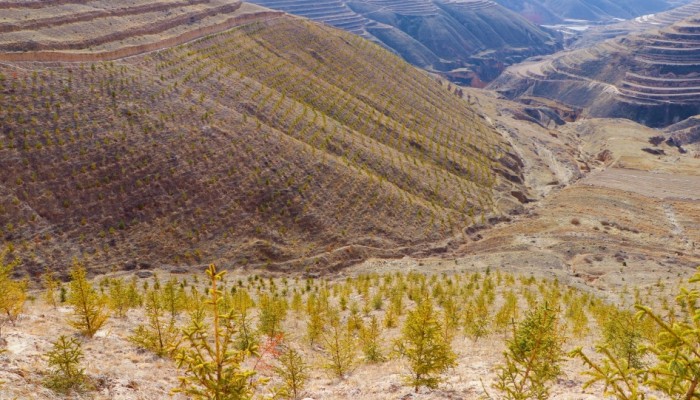 渭河源生態(tài)保護(hù)修復(fù)治理項(xiàng)目：人工造林施工穩(wěn)步推進(jìn)