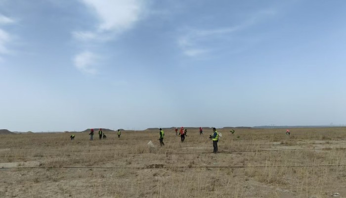 【“三抓三促”行動(dòng)】不負(fù)春日好時(shí)光，全力沖鋒“三北”建設(shè)