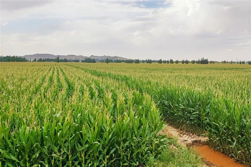 640 (2).jpg 640 (2).jpg